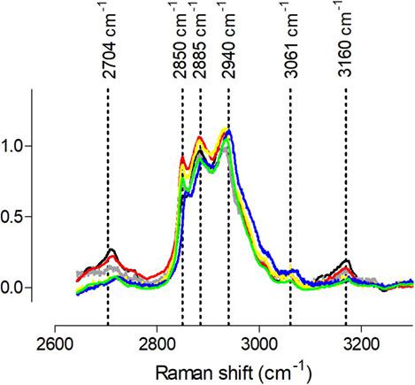 Raman Spectroscopy Of Dorsal Root Ganglia From Streptozotocin Induced Diabetic Neuropathic Rats Submitted To Photobiomodulation Therapy Journal Of Biophotonics X Mol