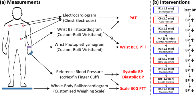 blood pressure and pulse