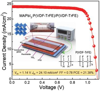 Polarized Ferroelectric Polymers For High‐Performance Perovskite Solar ...