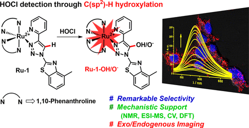 Highly Selective Detection Of Hypochlorous Acid By A Bis Heteroleptic Ru Ii Complex Of Pyridyl 1 2 3 Triazole Ligand Via C Sp2 H Hydroxylation Inorganic Chemistry X Mol