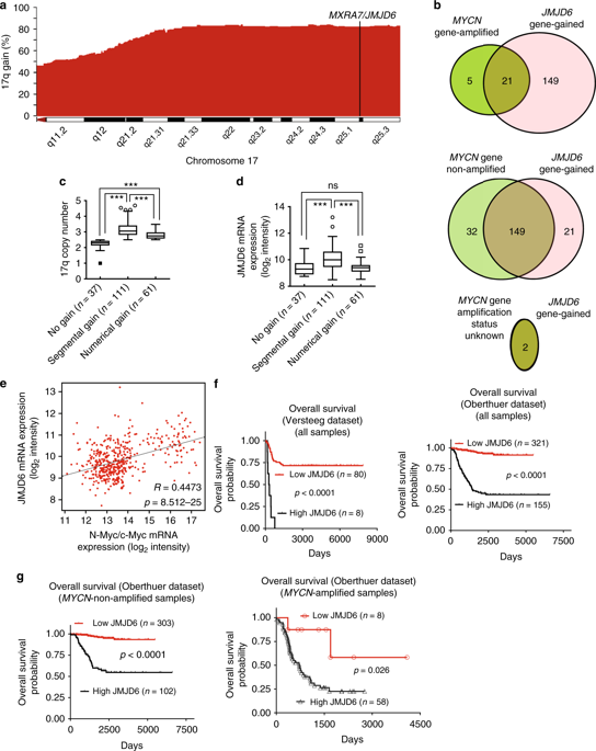 Jmjd6 Is A Tumorigenic Factor And Therapeutic Target In Neuroblastoma Nature Communications X Mol