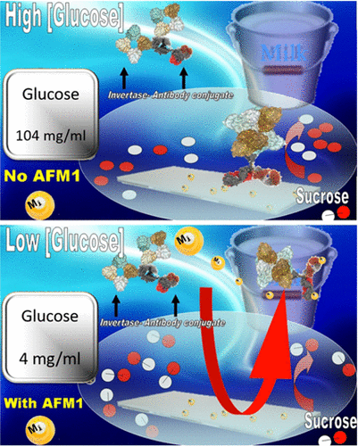 Sweet Sensor For The Detection Of Aflatoxin M1 In Whole Milk Acs Omega X Mol