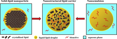 Fabrication And Characterization Of Nanostructured Lipid Carriers Nlc Using A Plant Based Emulsifier Quillaja Saponin Food Research International X Mol