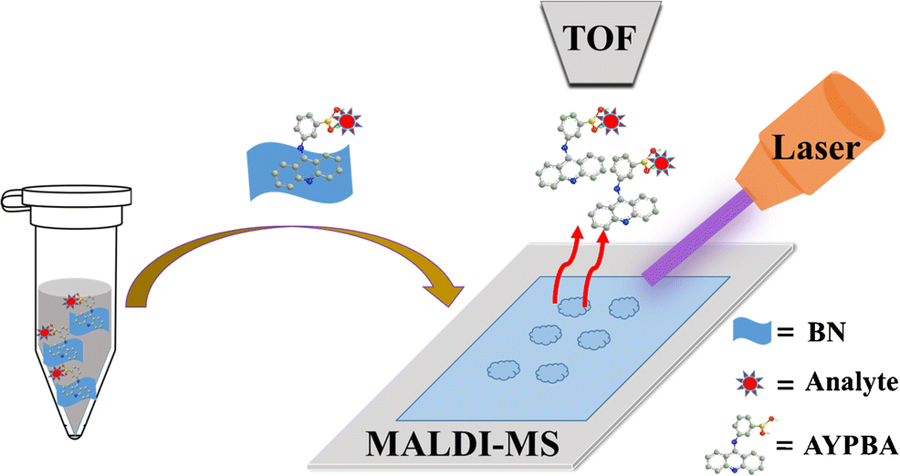 A Boronic Acid Modified Binary Matrix Consisting Of Boron Nitride And A Cyano 4 Hydroxycinnamic Acid For Determination Of Cis Diols By Maldi Tof Ms Microchimica Acta X Mol