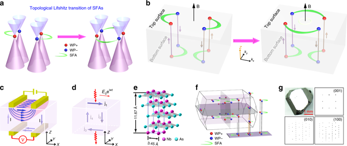 Topological Lifshitz Transitions And Fermi Arc Manipulation In Weyl Semimetal Nbas Nature Communications X Mol