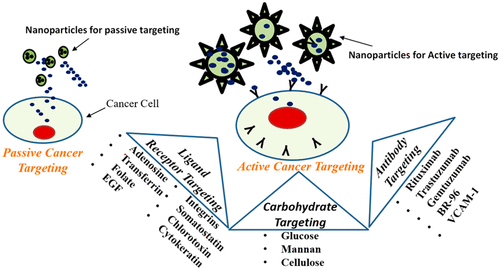 Precision Cancer Nanotherapy: Evolving Role Of Multifunctional ...