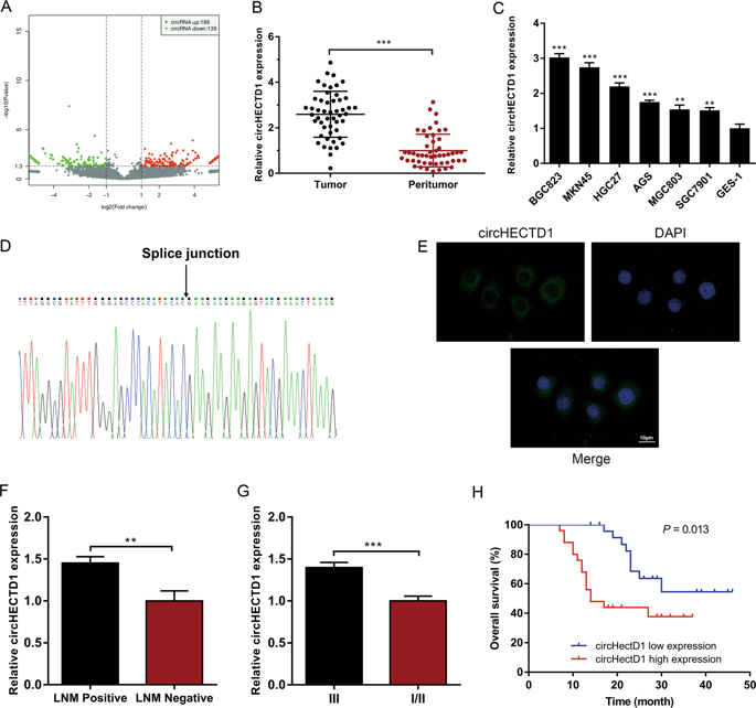 Circular Rna Circgramd1b Inhibits Gastric Cancer Progression By