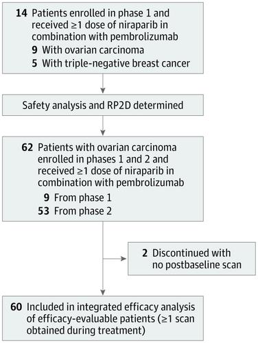 Single Arm Phases And Trial Of Niraparib In Combination With Pembrolizumab In Patients With