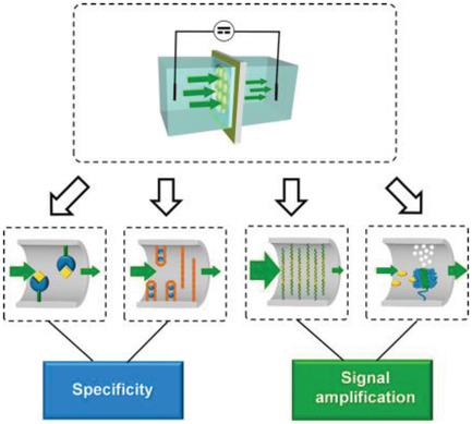 Biomolecule-Functionalized Solid-State Ion Nanochannels/Nanopores ...