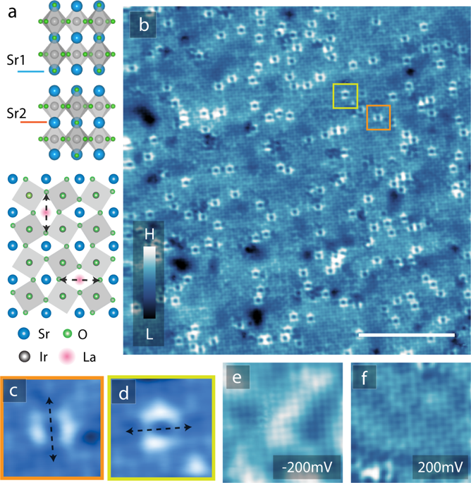 Doping induced Mott collapse and possible density wave instabilities in