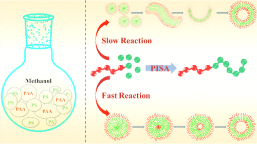 Insight Into The Polymerization-Induced Self-Assembly Via A Realistic ...