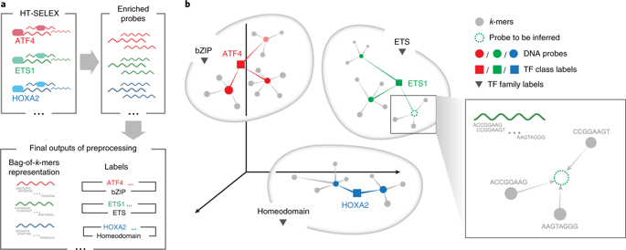 Bindspace Decodes Transcription Factor Binding Signals By Large Scale Sequence Embedding Nat Methods X Mol