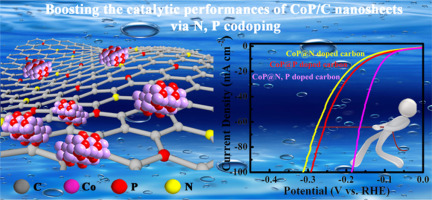 N P Co Doped Carbon Coupled With Cop As Superior Electrocatalysts For Hydrogen Evolution Reaction And Overall Water Splitting International Journal Of Hydrogen Energy X Mol