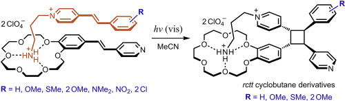 Pseudodimeric Complexes Of 4 Styrylpyridine Derivatives Structure Property Relationships And A Stereospecific 2 2 Cross Photocycloaddition In Solution Dyes And Pigments X Mol