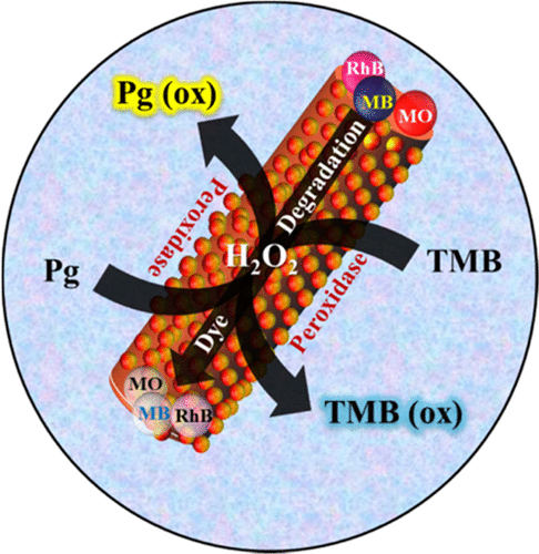 Counter Anion Directed Growth Of Iron Oxide Nanorods In A Polyol Medium With Efficient Peroxidase Mimicking Activity For Degradation Of Dyes In Contaminated Water Acs Omega X Mol
