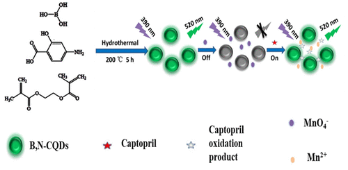 Facile Preparation Of Boron And Nitrogen Codoped Green Emission Carbon ...