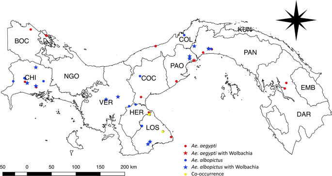 Dynamics And Diversity Of Bacteria Associated With The Disease Vectors Aedes Aegypti And Aedes Albopictus Scientific Reports X Mol