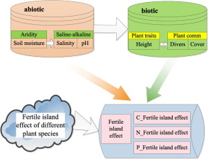 Factors That Alter The Relative Importance Of Abiotic And Biotic Drivers On The Fertile Island In A Desert Oasis Ecotone Science Of The Total Environment X Mol