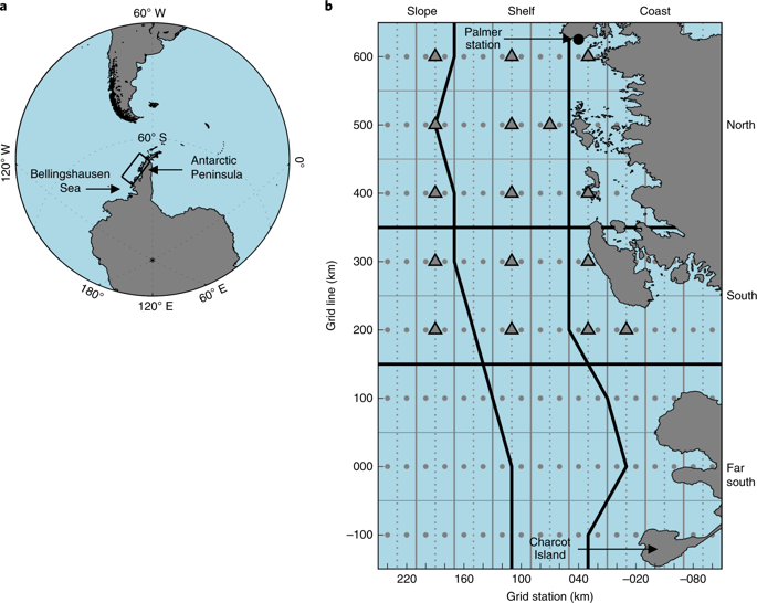 Enhanced Oceanic Co 2 Uptake Along The Rapidly Changing West Antarctic Peninsula Nature Climate Change X Mol