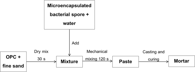 Evaluation Of Microencapsulation Techniques For Micp Bacterial Spores Applied In Self Healing Concrete Scientific Reports X Mol