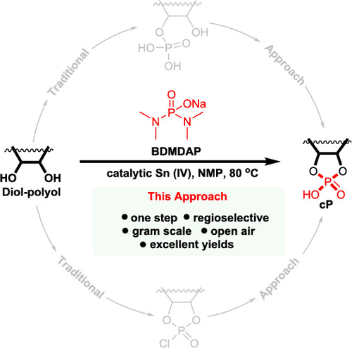 Bis(dimethylamino)phosphorodiamidate: A Reagent for the Regioselective