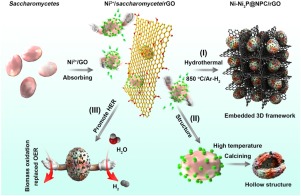 Ni-Ni3P nanoparticles embedded into N, P-doped carbon on 3D graphene ...