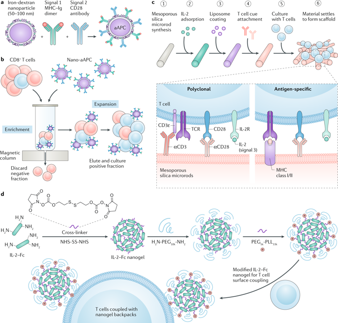 通过纳米技术改善癌症免疫疗法。,Nature Reviews Cancer - X-MOL