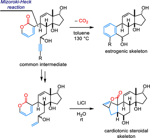 Synthesis of Oxy-Functionalized Steroidal Skeletons via Mizoroki–Heck ...