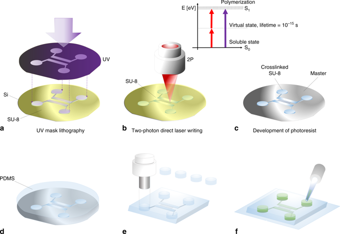 Scalable Integration Of Nano-, And Microfluidics With Hybrid Two-photon ...