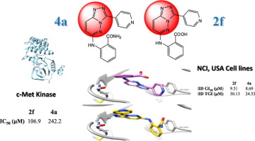 Triazolopyridazine Derivatives Synthesis Cytotoxic Evaluation C Met Kinase Activity And Molecular Docking Bioorganic Chemistry X Mol