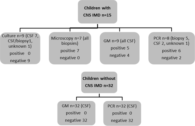 Galactomannan And Pcr In The Central Nervous System To Detect Invasive Mold Disease A Retrospective Analysis In Immunocompromised Children Scientific Reports X Mol