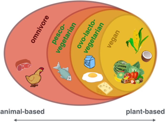 The Effects Of Plant-based Diets On The Body And The Brain: A ...