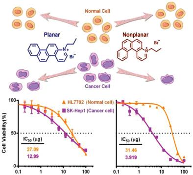 Selective Killing of Cancer Cells by Nonplanar Aromatic 