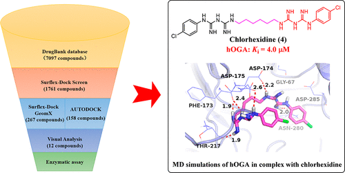 Discovery Of Novel Inhibitors Targeting Human O Glcnacase Docking Based Virtual Screening Biological Evaluation Structural Modification And Molecular Dynamics Simulation Journal Of Chemical Information And Modeling X Mol