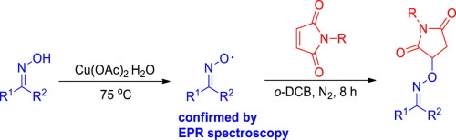 Copper Catalyzed Synthesis Of Oxime Ethers From Iminoxy Radical Cn O And Maleimides Via Radical Addition Tetrahedron Letters X Mol