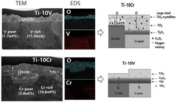 Characteristics And Oxidation Mechanism Of Thermal Oxide On Ti Xcr And Ti Xv X 5 10 15 Alloys Journal Of Alloys And Compounds X Mol