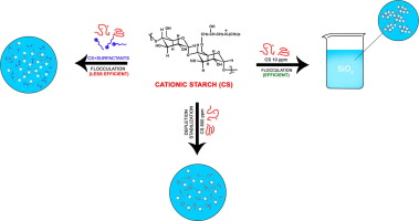 Cationic Starch As The Effective Flocculant Of Silica In The Presence Of Different Surfactants Separation And Purification Technology X Mol