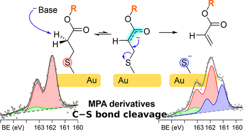 Atomic Sulfur Formation Mechanism on 3-Mercaptopropanoic Acid