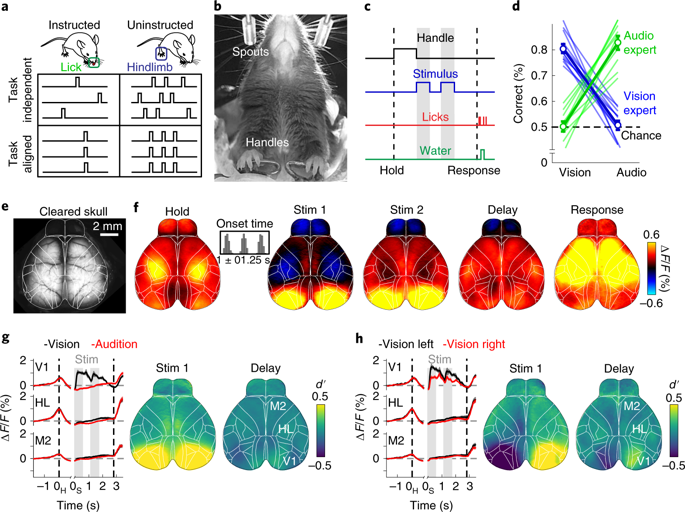 Single Trial Neural Dynamics Are Dominated By Richly Varied Movements Nature Neuroscience X MOL