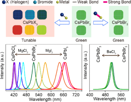 Assessment For Anion Exchange Reaction In Cspbx3 X Cl Br I Nanocrystals From Bond Strength Of Inorganic Salt The Journal Of Physical Chemistry C X Mol