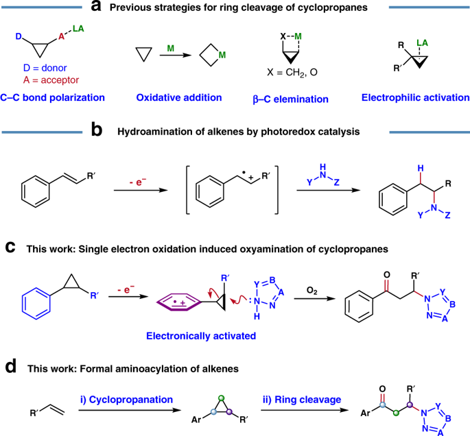 Photoredox Catalyzed Oxo Amination Of Aryl Cyclopropanes Nature