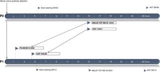 The Impact Of A Rapid Molecular Identification Test On Positive Blood Cultures From Critically Ill With Bacteremia A Pre Post Intervention Study Plos One X Mol