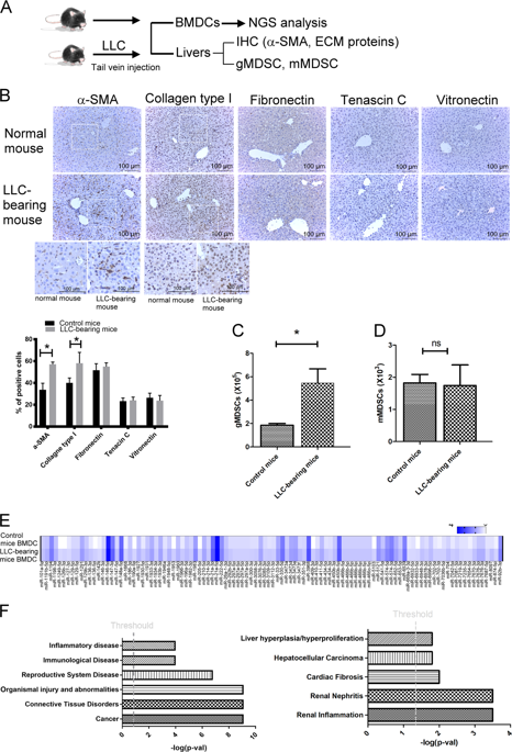 Bone-marrow-derived Cell-released Extracellular Vesicle MiR-92a ...