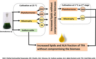 Strategies For Enhancement Of Alpha Linolenic Acid Rich Lipids In Desmodesmus Sp Without Compromising The Biomass Production Bioresource Technology X Mol