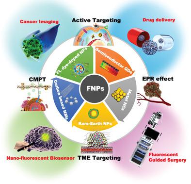 Tumor Targeting Strategies Of Smart Fluorescent Nanoparticles And Their ...