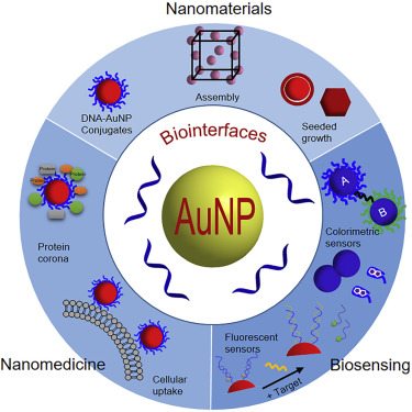 Interface-Driven Hybrid Materials Based On DNA-Functionalized Gold ...