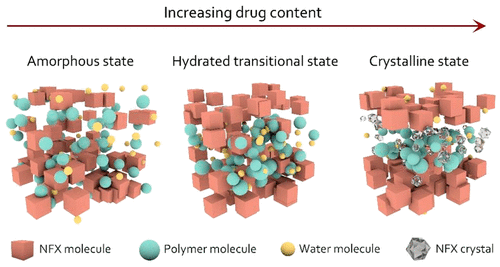 Insight Into The State Evolution Of Norfloxacin As A Function Of Drug Concentration In Norfloxacin Vinylpyrrolidone Hydroxypropyl Methylcellulose Hydroxypropyl Methylcellulose Phthalate Solid Dispersions Crystal Growth Design X Mol