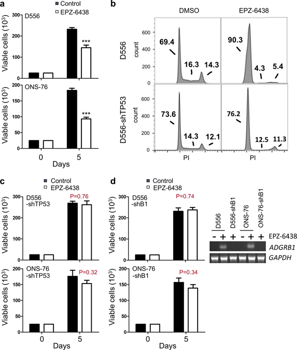 Ezh2 Targeting Reduces Medulloblastoma Growth Through Epigenetic Reactivation Of The Bai1 P53 Tumor Suppressor Pathway Oncogene X Mol