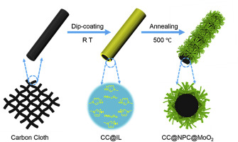 Facile Construction Of Flower Like Moo2 N P Co Doped Carbon On Carbon Cloth As Self Standing Anode For High Performance Sodium Ion Battery Journal Of Electroanalytical Chemistry X Mol