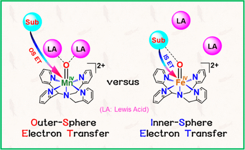 不存在路易斯酸的非血红素锰（IV）-氧杂配合物的外层电子转移途径的单统一驱动力依赖性,Inorganic Chemistry - X-MOL